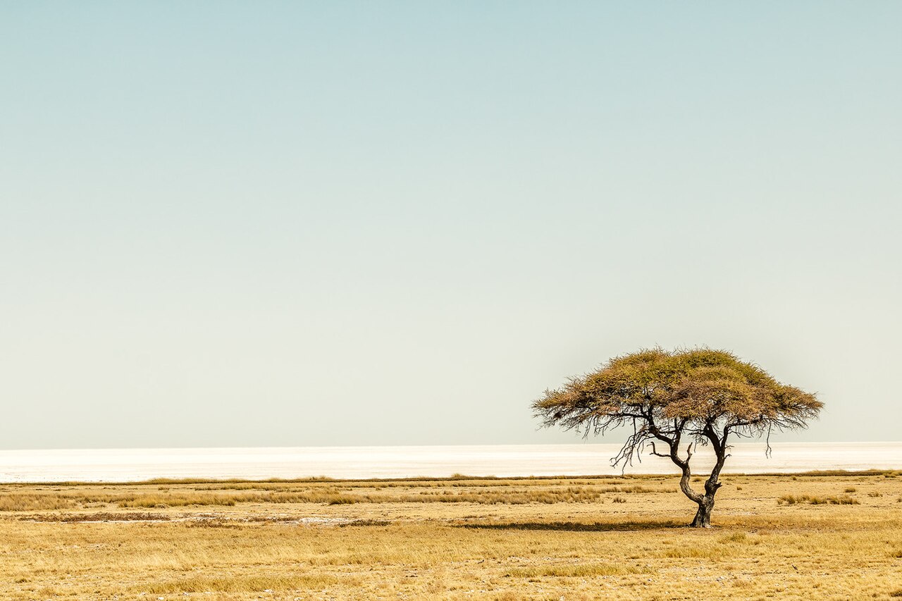 Etosha Pan ()