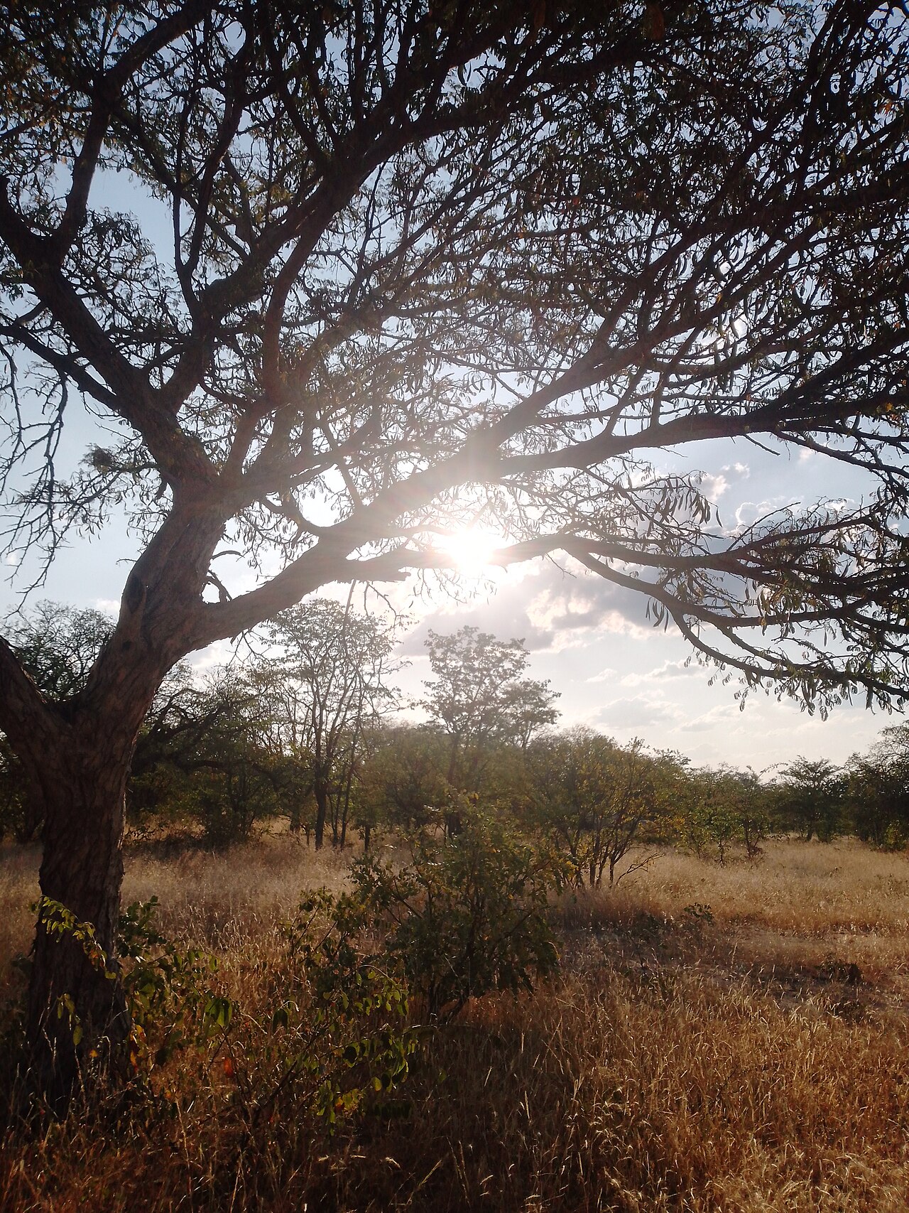 Sunset in Tutume Village