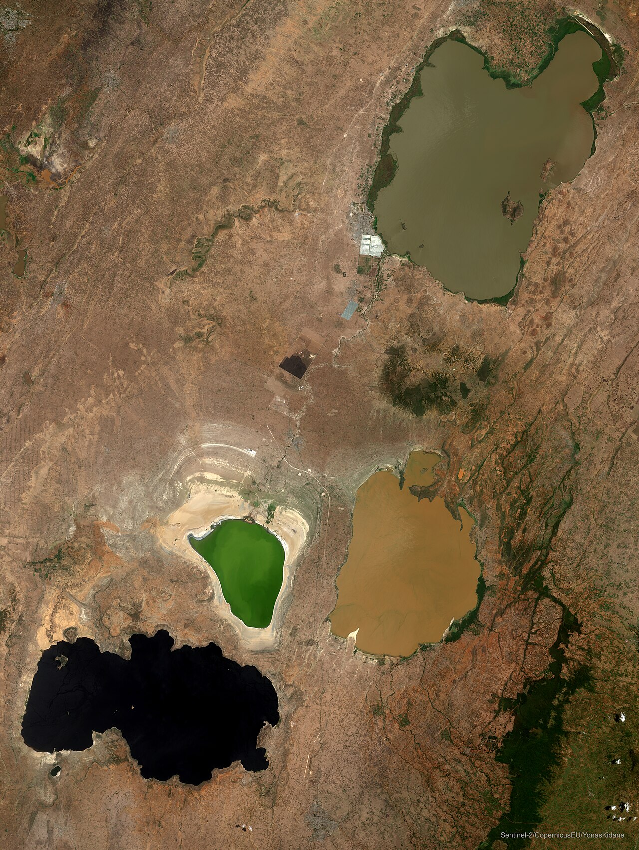 Central Ethiopia's Rift Valley Lakes