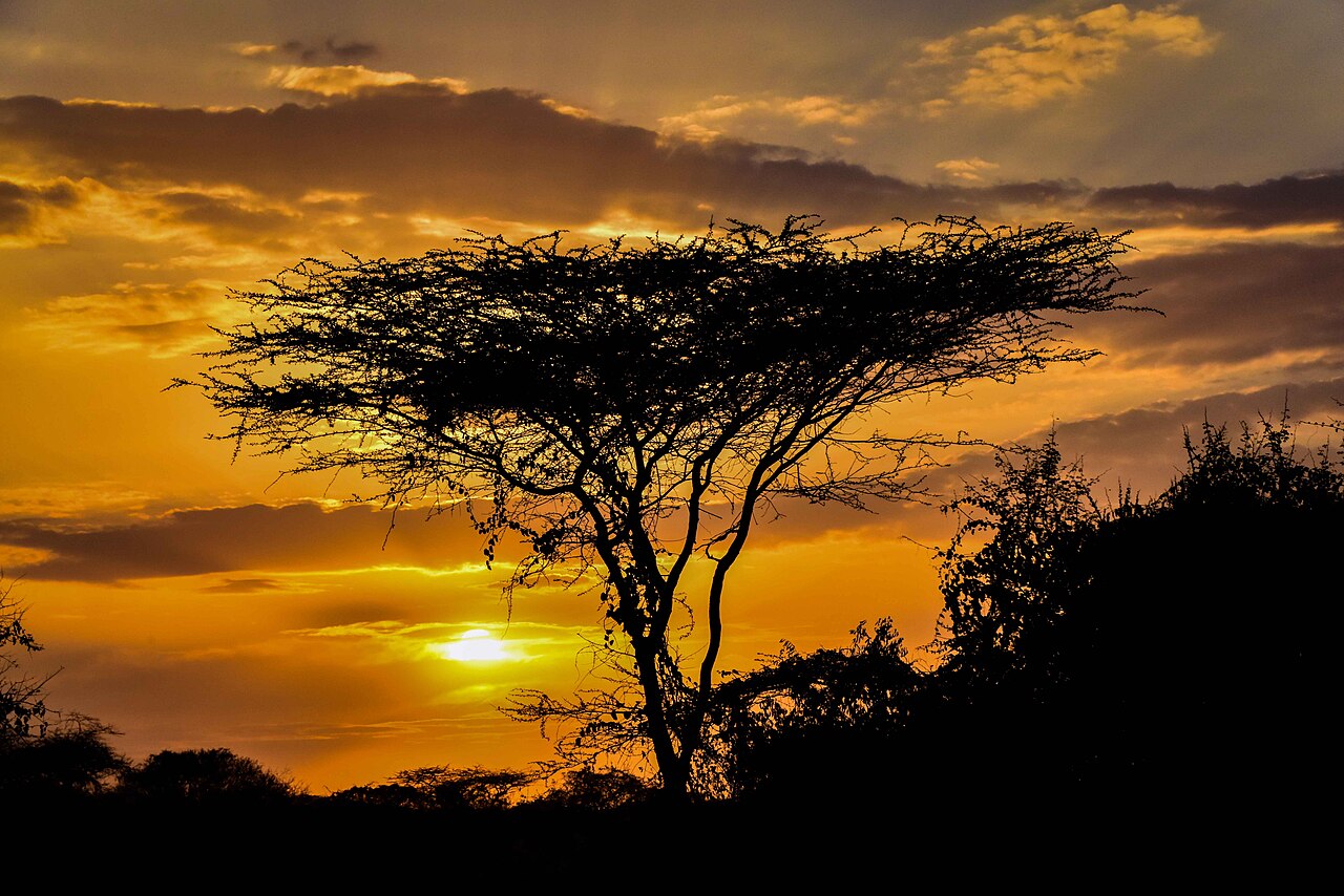 Turmi Rd Sunset, Ethiopia ()
