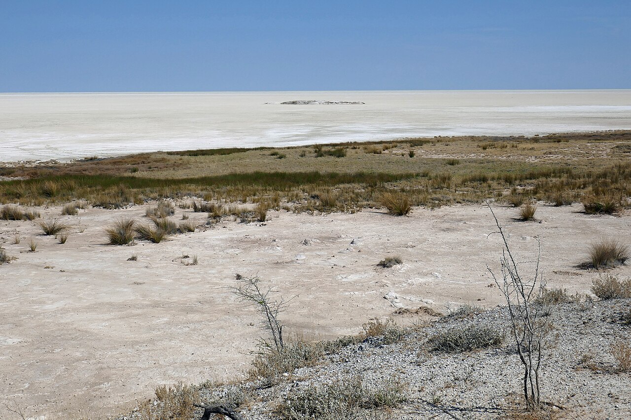 Etosha pan (3)