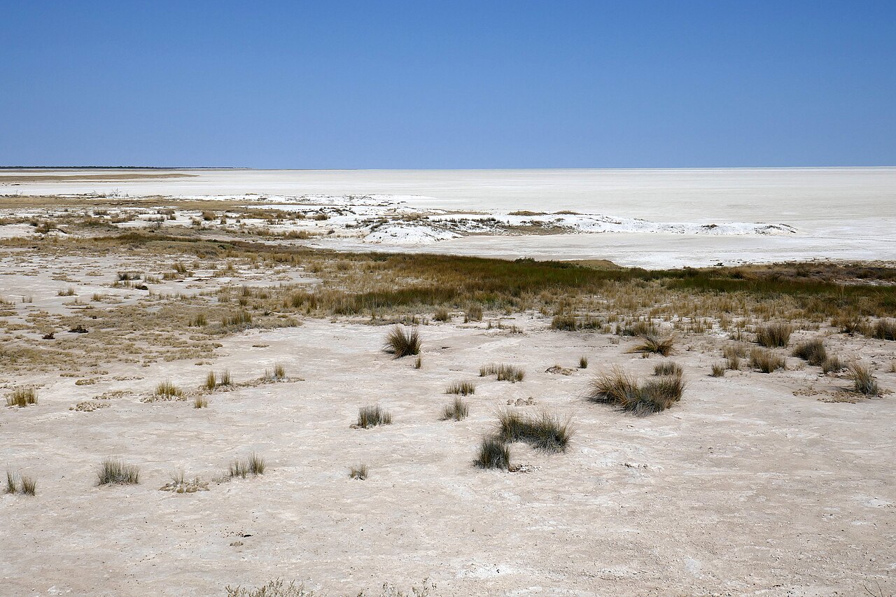 Etosha pan (1)