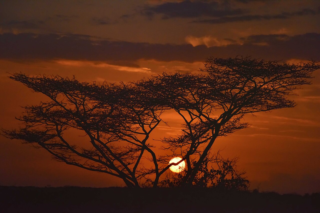 Sunset, Turmi Rd, Omo Valley, Ethiopia ()